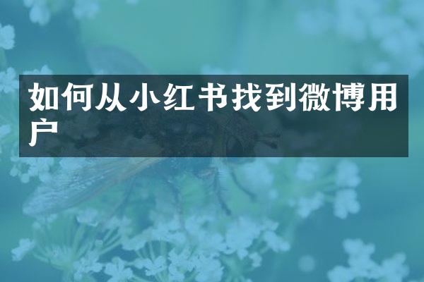 如何从小红书找到微博用户