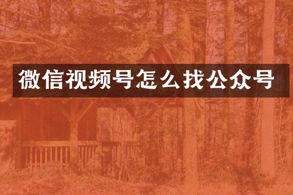 微信视频号怎么找公众号