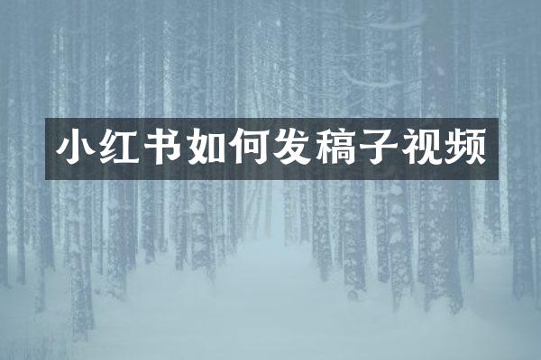 小红书如何发稿子视频