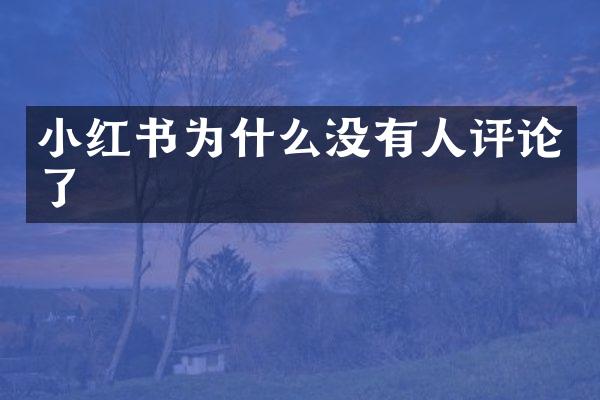 小红书为什么没有人评论了