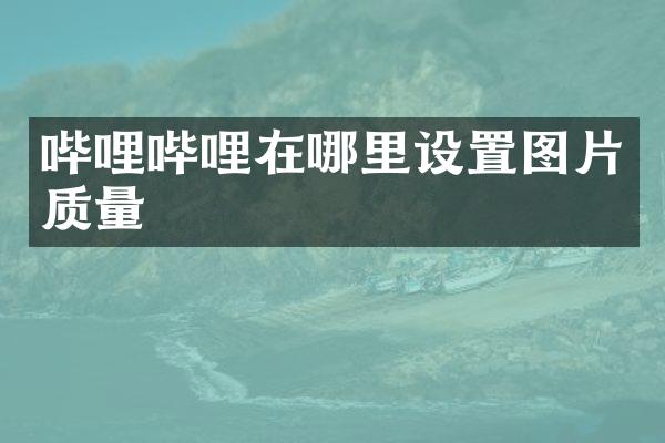 哔哩哔哩在哪里设置图片质量