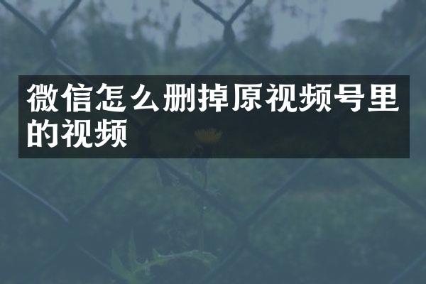 微信怎么删掉原视频号里的视频