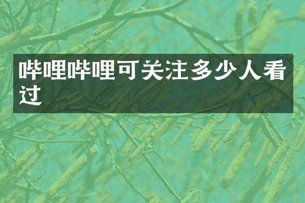 哔哩哔哩可关注多少人看过