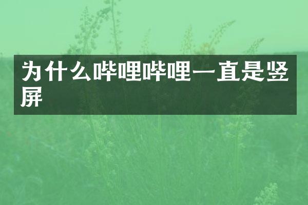 为什么哔哩哔哩一直是竖屏