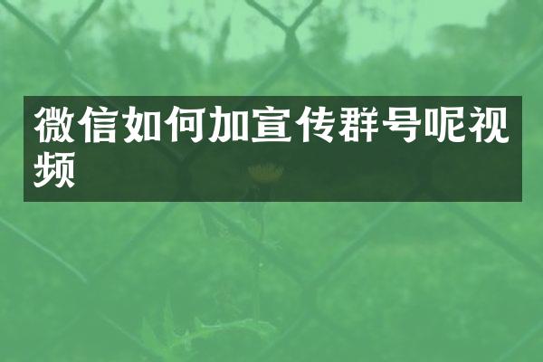 微信如何加宣传群号呢视频