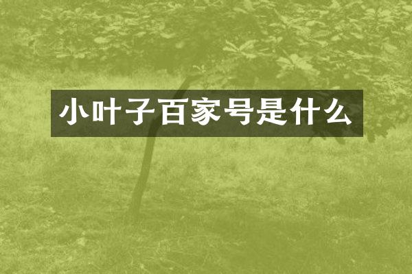 小叶子百家号是什么