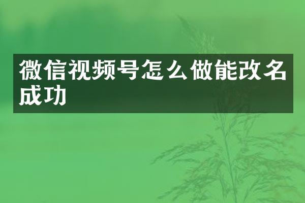 微信视频号怎么做能改名成功