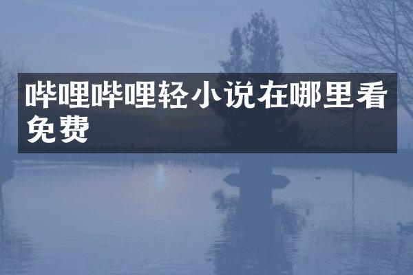 哔哩哔哩轻小说在哪里看免费