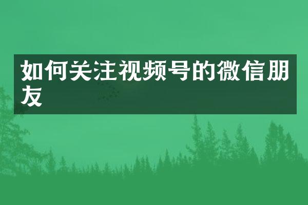 如何关注视频号的微信朋友