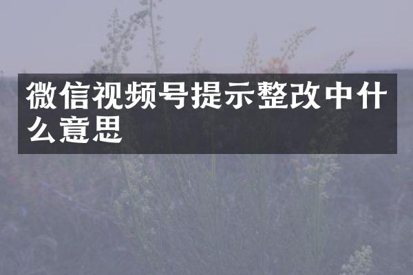 微信视频号提示整改中什么意思