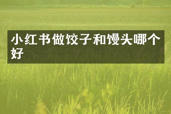 小红书做饺子和馒头哪个好