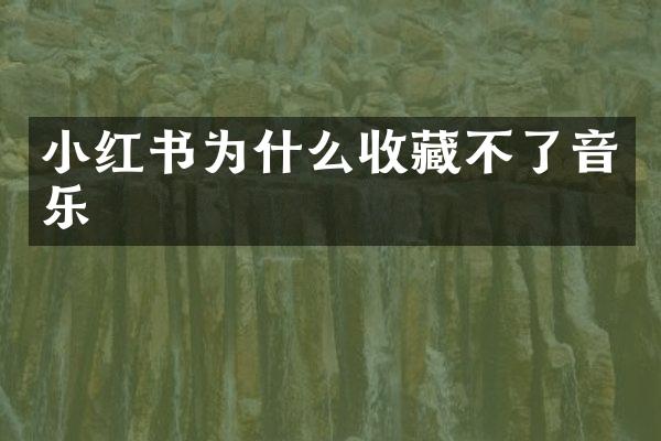 小红书为什么收藏不了音乐
