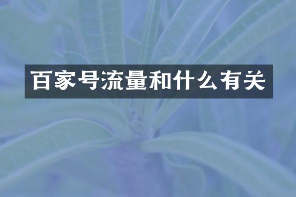 百家号流量和什么有关