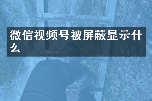 微信视频号被屏蔽显示什么
