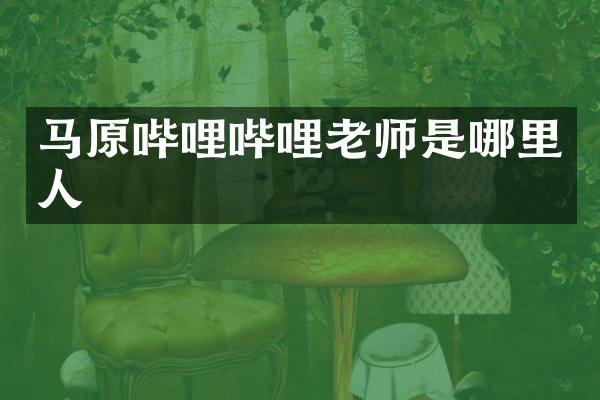 马原哔哩哔哩老师是哪里人