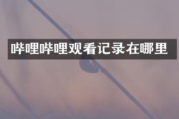 哔哩哔哩观看记录在哪里