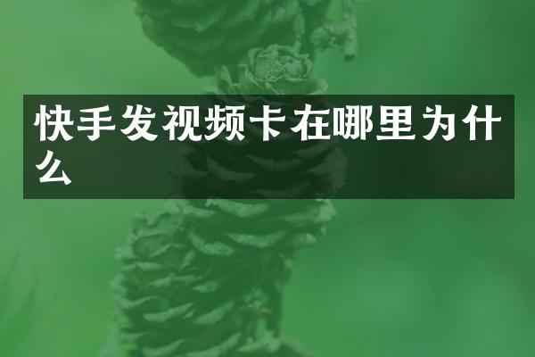 快手发视频卡在哪里为什么