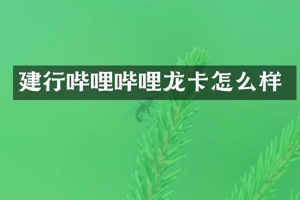 建行哔哩哔哩龙卡怎么样
