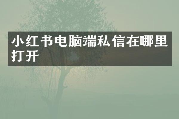 小红书电脑端私信在哪里打开