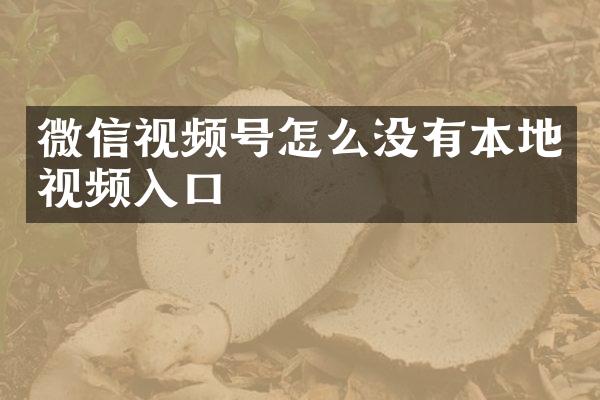 微信视频号怎么没有本地视频入口