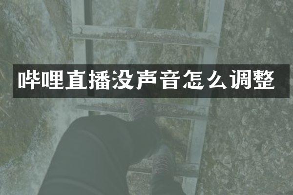哔哩直播没声音怎么调整