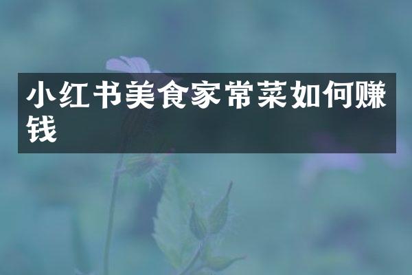 小红书美食家常菜如何赚钱