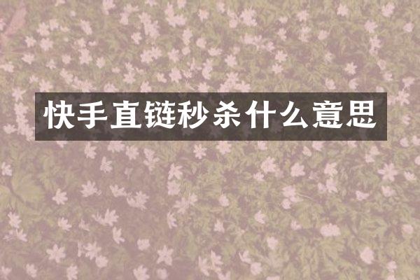 快手直链秒杀什么意思