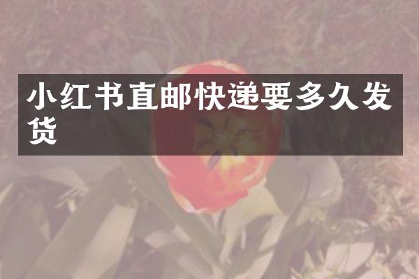 小红书直邮快递要多久发货