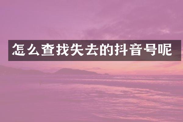 怎么查找失去的抖音号呢