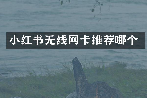 小红书无线网卡推荐哪个