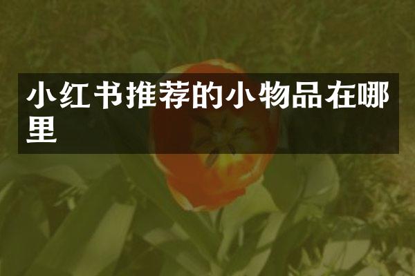 小红书推荐的小物品在哪里