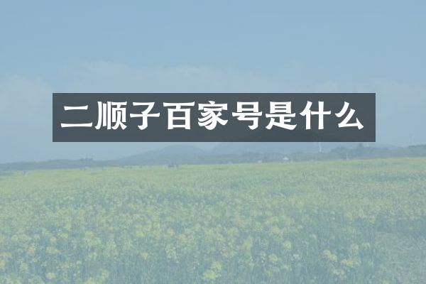 二顺子百家号是什么
