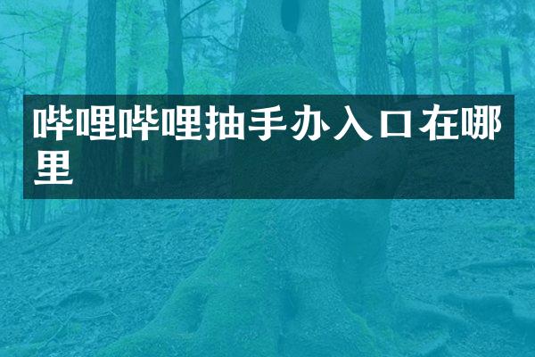 哔哩哔哩抽手办入口在哪里