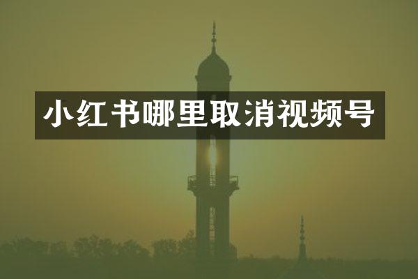 小红书哪里取消视频号