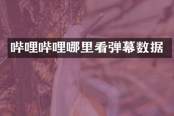 哔哩哔哩哪里看弹幕数据