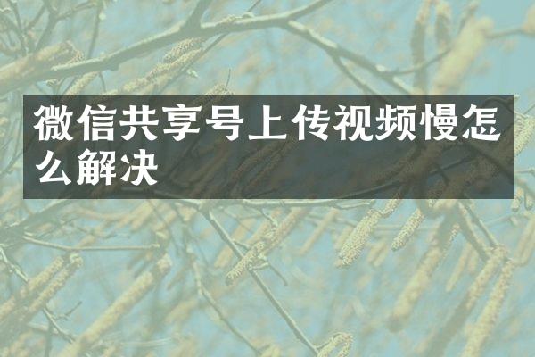微信共享号上传视频慢怎么解决