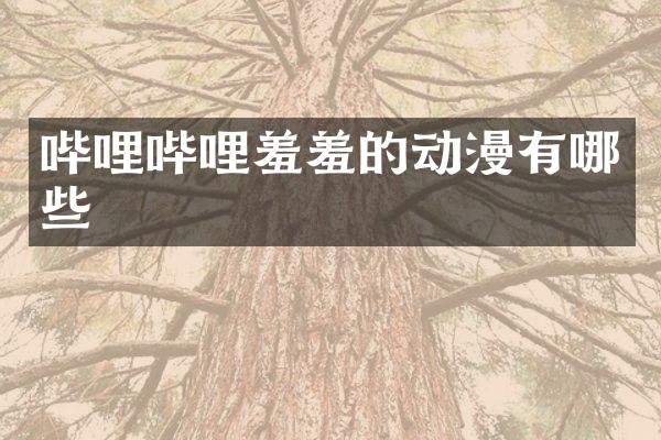 哔哩哔哩羞羞的动漫有哪些