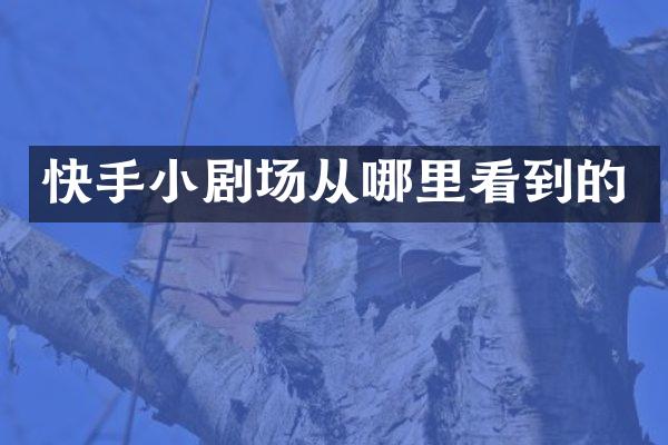 快手小剧场从哪里看到的