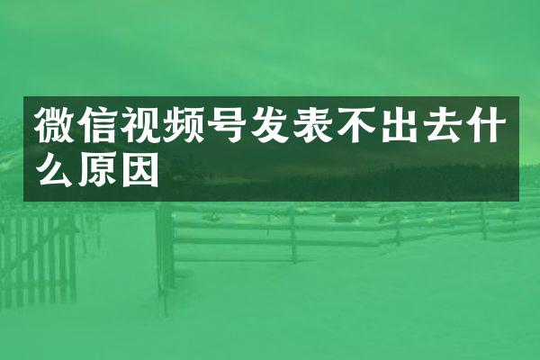 微信视频号发表不出去什么原因
