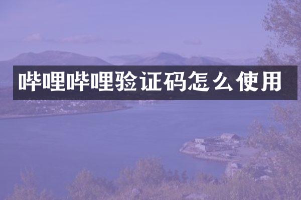 哔哩哔哩验证码怎么使用