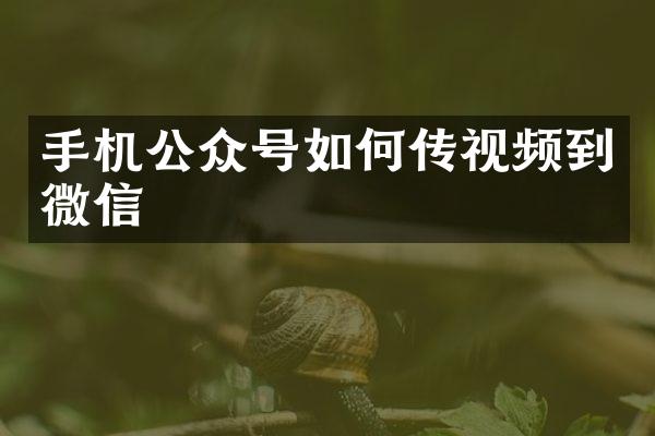 手机公众号如何传视频到微信