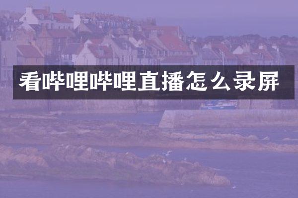看哔哩哔哩直播怎么录屏