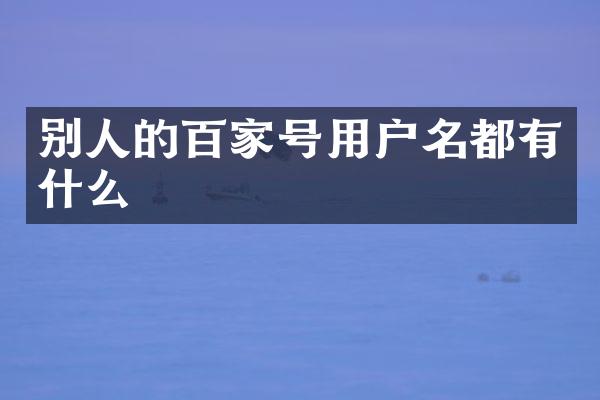 别人的百家号用户名都有什么