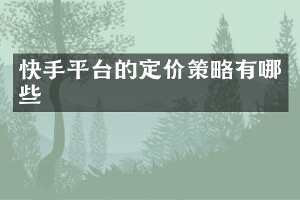 快手平台的定价策略有哪些