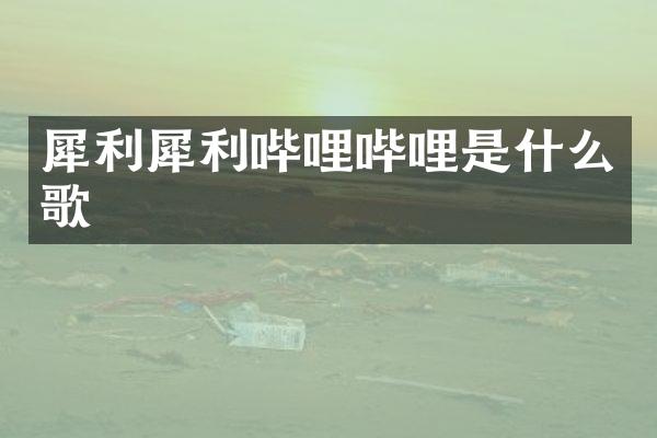 犀利犀利哔哩哔哩是什么歌