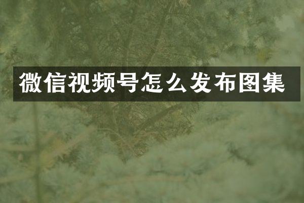 微信视频号怎么发布图集