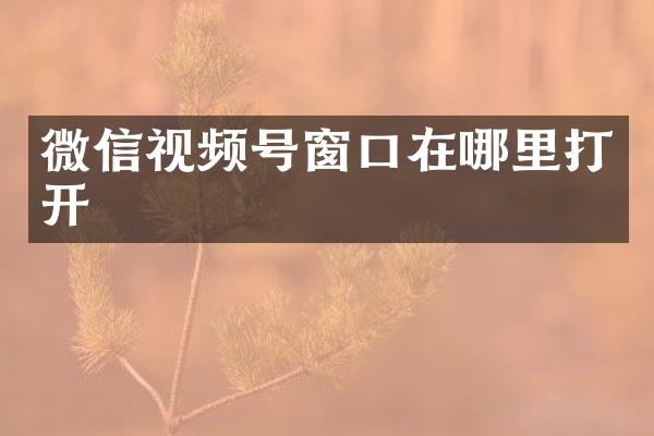 微信视频号窗口在哪里打开