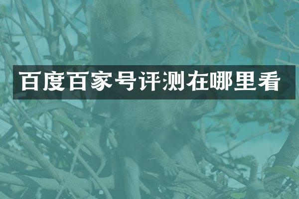 百度百家号评测在哪里看