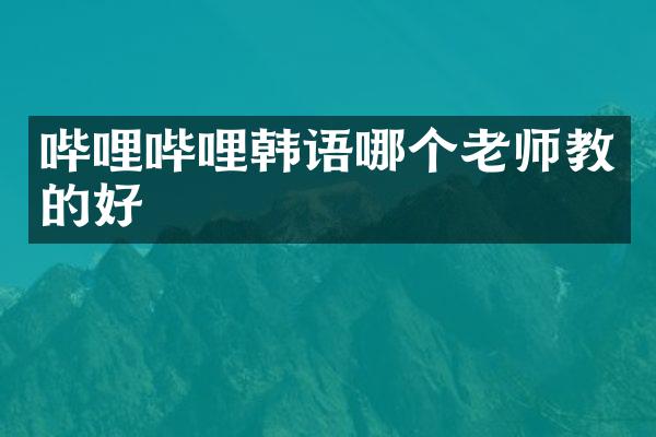 哔哩哔哩韩语哪个老师教的好