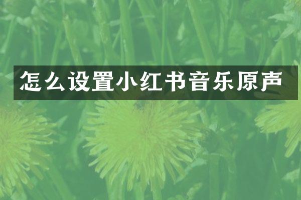 怎么设置小红书音乐原声